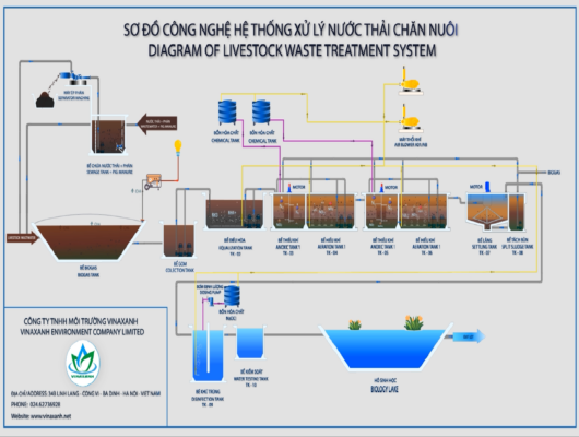 Tư vấn thiết kế hệ thống Biogas và hệ thống xử lý nước thải chăn nuôi chuyên nghiệp - CÔNG TY TNHH MÔI TRƯỜNG VINAXANH