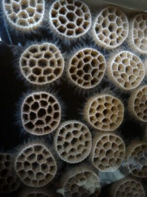 Giá thể vi sinh là gì